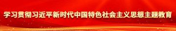 强插美女出水视频学习贯彻习近平新时代中国特色社会主义思想主题教育